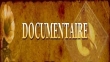Film Documentaire " L'immigration illégale"
